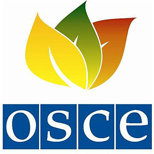  На Совете министров ОБСЕ не удалось показать резонансное видео обстрела Донецка боевиками