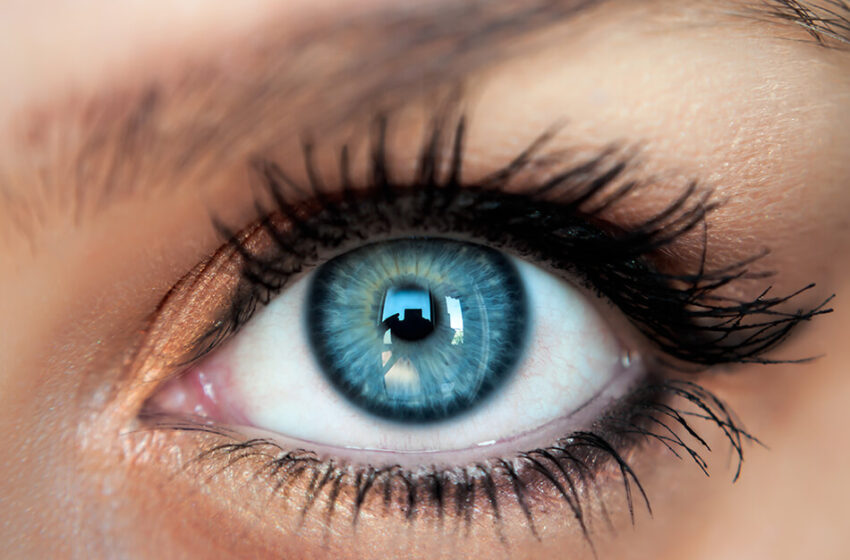  Кольорові контактні лінзи як сучасний метод покращити зір